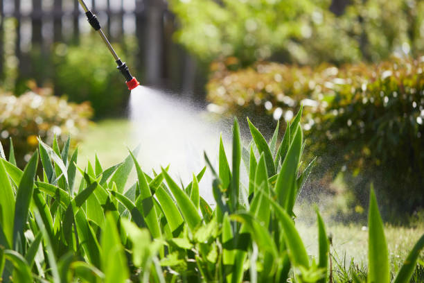 24/7 Emergency Mosquito Control experts in Lakehills, TX