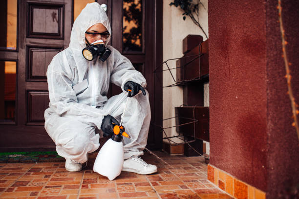 Reliable Mosquito Control contractor in Lakehills, TX by Show Me Pest Control